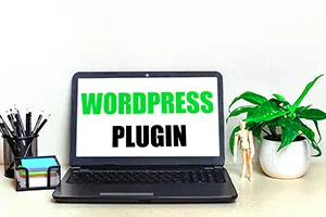 Wordpress-Sites