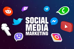 Social Media Marketing (SMM)