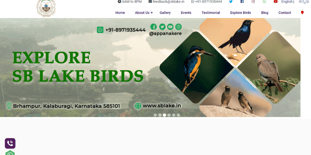 website-image